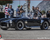 TSR Watermark - 0623